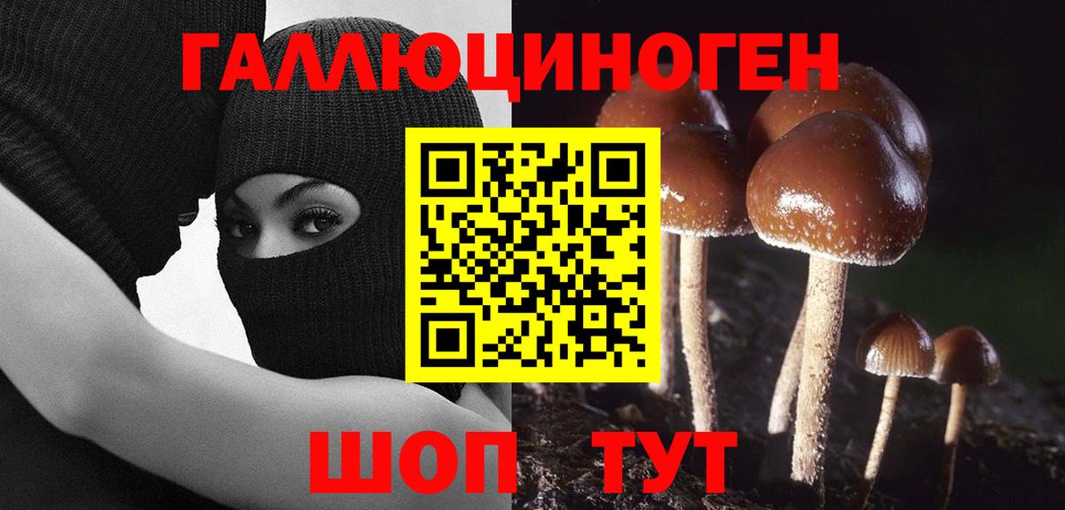 Галлюциногенные грибы Magic Shrooms Фролово