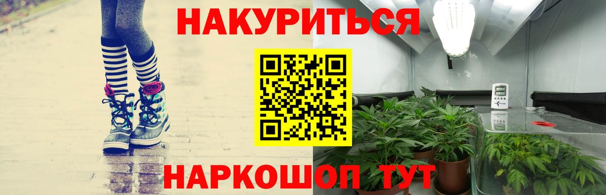 Шишки марихуана сатива  Вход с VPN  Конопля сатива  Фролово 