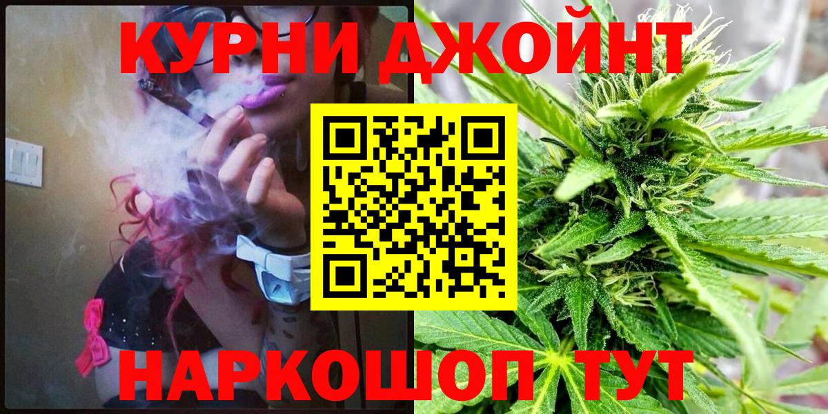 Конопля гибрид Фролово